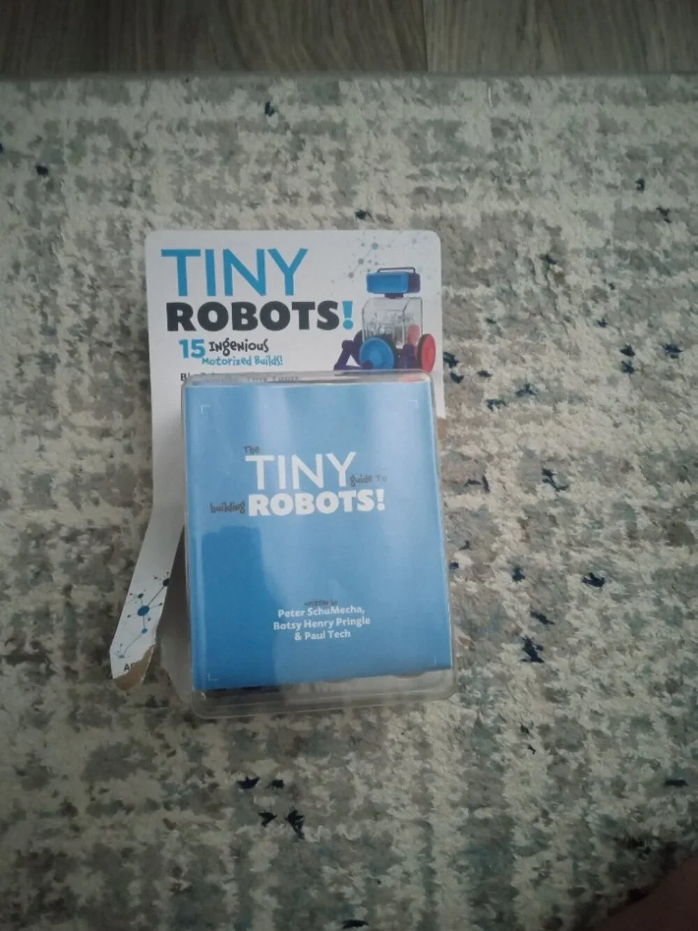 Tiny Robot
